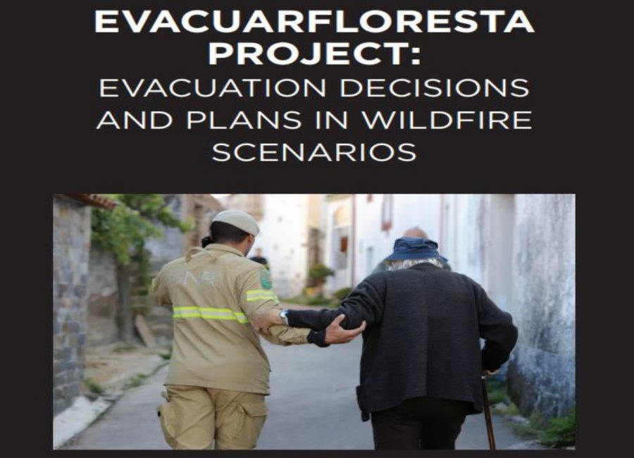 e-book