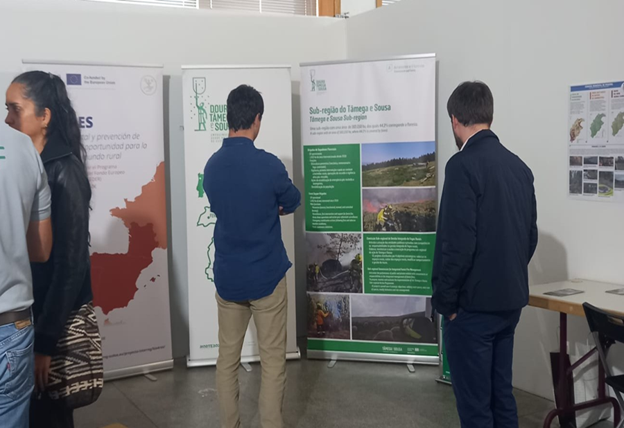 ENB participou no 1.º Innovation Day Series do FIRE-RES